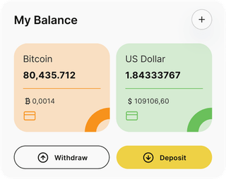 Maple Capitex automated trading solution dashboard overview